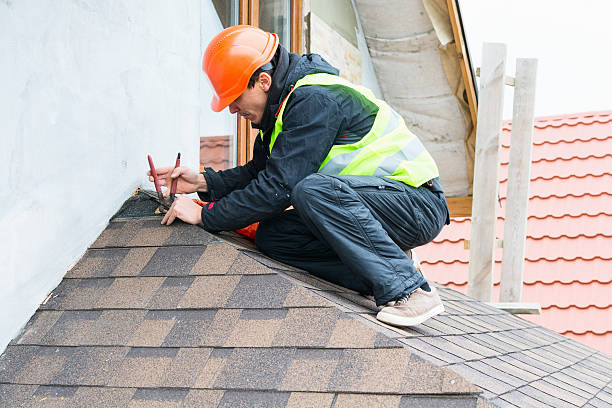 Best Roof Maintenance Services  in Wahoo, NE