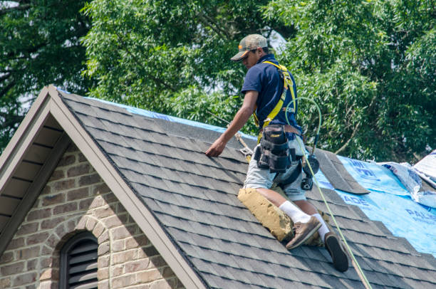 Best Roof Waterproofing Services  in Wahoo, NE